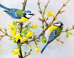 Buy BLUE TITS IN TREE. VINTAGE 1980s PRINT OF A  PAINTING BY BASIL EDE • 2.29£
