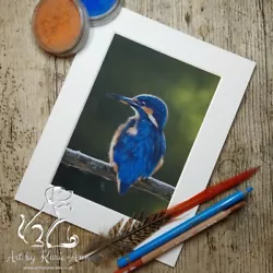 Buy Kingfisher Bird Original Art By Karie-Ann Drawing Pastel Pencil Painting  • 0.01£