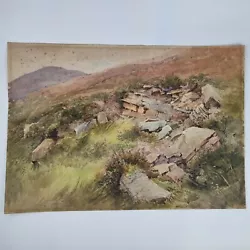 Buy Antique 19th Century Unsigned Watercolour Painting Study Rocks On A Hillside • 49£