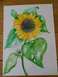 Buy Card Print Sun Flower Off Original Coloured Pencil And Paint Picture • 1.79£