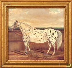 Buy Large Early 19th Century Portrait Of An Appaloosa Horse In A Yard By H MILNES • 2,100£