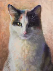 Buy ORIGINAL PET PAINTING OF A CALICO CAT - 12x16  FINE ART PASTEL By PAUL HINKS • 75£