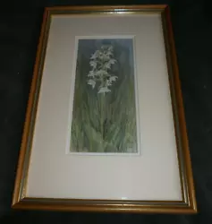 Buy Jean Thomas Original Watercolour Painting White Orchid /  Isle Of Skye / Signed • 34.99£