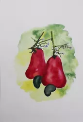Buy Origial Watercolour Painting-Wall Art-Cashew Fruit • 6.75£