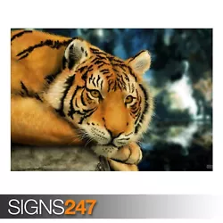 Buy TIGER PAINTING (3487) Animal Poster - Picture Poster Print Art A0 A1 A2 A3 A4 • 1.10£