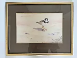 Buy David Cemmick Original Watercolour Turnstone Bird 1977. • 150£