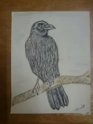 Buy Crow In Waiting Pastel Pencils Picture By Bridget Evenett  • 19.99£