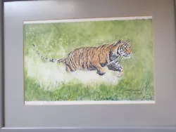 Buy Original Watercolour Tiger Painting  • 12£