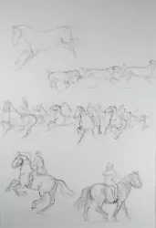 Buy Original Pencil Sketch,'Study Of Horses And Hounds', Helen Collins (1921-1990) • 44£