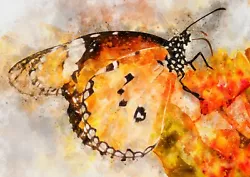 Buy Orange Red Butterfly Watercolour Painting Unique Gift (Print) 5 X7  • 4.99£