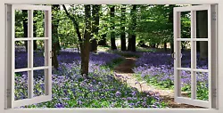 Buy Bluebell Woods Pathway Trees 3D Effect Window Canvas Picture Wall Art Prints • 149.99£