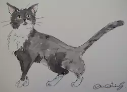 Buy Original Small Pen & Ink & Watercolour Painting Of A Black & White Cat Walking • 29.99£