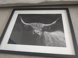Buy Highland Cow Framed Picture 40*50cm • 13.50£