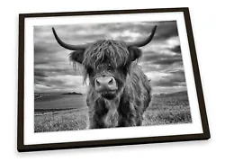 Buy Highland Cow B&W Grey FRAMED ART PRINT Picture Poster Artwork • 10.99£