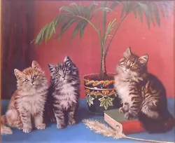 Buy LATE 19th CENTURY OIL ON CANVAS - KITTEN TRIO - H53 CM X W64 CM - UNSIGNED   • 299.99£