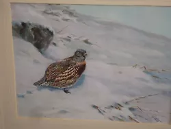 Buy George Lodge - Watercolour Of A Game Bird • 450£