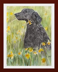 Buy BLACK CURLY COATED RETRIEVER WITH DAFFODILS -  Original Painting • 55£