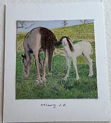Buy Watercolour Painting By Mark Leary Horse And Foal • 20£