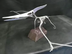 Buy Handmade Welded Pteranodon Skeleton (other Pterosaurs An Option) • 650£