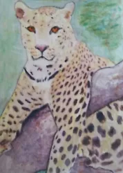 Buy Aceo Art Card 2.5 X 3.5 Inch Leopard Nature Watercolour Pencil Painting.Wildlife • 3.50£