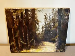 Buy Vintage Oil Painting On Canvas Woods Scene Signed Local Aurora Illinois Artist • 41.34£