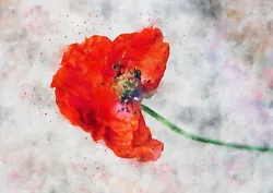 Buy Red Poppy Flower Watercolour Painting Unique Gift Idea, Print Of Original  • 4.99£