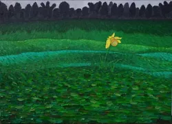 Buy Original Oil Painting  Daffodil  By Robert Salvador George. 50cm By 70cm • 200£