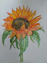 Buy Card Off Sunflower Original Coloured Pencil And Paint Picture Drawn By Deborah  • 1.69£