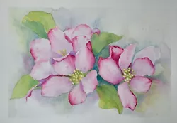 Buy Original Watercolour Painting Flowers. Apple Blossom. Malgorzata Lis. COA • 9.99£