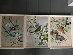 Buy 3 Fraimed Oil Paintings Birds -vintage 1979 • 65£