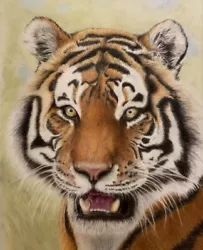 Buy Painting Original Art Signed Animal Drawing Pencil Tiger Framed Art Home Gift • 65£