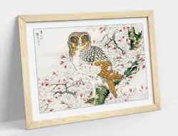 Buy Numata Kashu, Short Eared Owl & Cherry Flower -framed Art Poster Print 4 Sizes • 14.99£