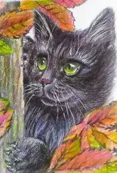Buy ACEO Cat Drawing Watercolor Pencil By The Author Original Not Print 3,5х2,5  • 21.02£