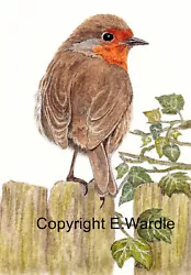 Buy 2.5  X 3.5  ACEO 'ROBIN ON FENCE' Bird CANVAS PRINT Of Watercolour By E.Wardle • 2.99£