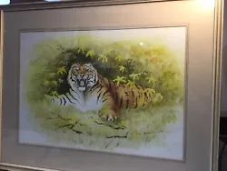 Buy Tiger Watercolour 28 Inches X 22 Inches Gordon Heppinstall • 28£