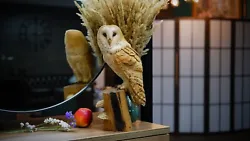 Buy Barn Owl Wooden Gift Owls Wooden Owl Wood Carving Wood Owl Wood Sculpture Owl • 514.53£
