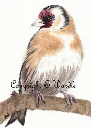 Buy ACEO 2.5  X 3.5  Canvas Print Of Watercolour 'Windswept Goldfinch' Bird  • 2.99£