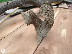Buy Driftwood Art Natural Sculpture, Barn Swallow (bird) AAOK • 41.44£
