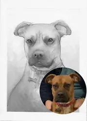 Buy Custom Pet Portrait From Photo, A5, Black And White Watercolour, Commission, Art • 25£