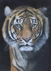 Buy Painting Original Art Signed Animal Drawing Pencil Tiger Framed Art Home Gift • 1,600£