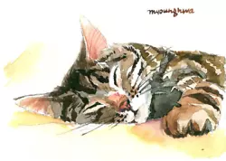 Buy ACEO Limited Edition  Cat Nap Time  Art Print Of An Original Watercolor, Cat Art • 4.97£