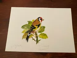 Buy Original Watercolour Painting By T Snelling 2000 Goldfinch 8.25  X 5.75  • 14.99£
