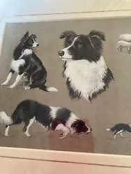 Buy Signed Vintage Print Of Study Of Border Collies By Sheila Excell • 8£