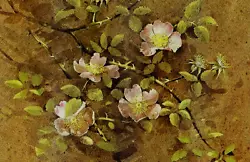 Buy * Wild Roses *  Book Print Of A  Painting By Gordon Beningfield     • 2.15£