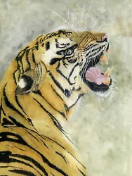 Buy Tiger Growling, Big Cat Watercolour PRINT  From An Original Wildlife Painting • 23.10£