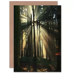 Buy Birthday Painting Sunbeam Forest Scene Blank Greeting Card With Envelope • 4.42£