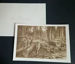 Buy 1888 Photogravure LOGGING IN THE REDWOOD FOREST From Painting By A HENCKE • 18.85£