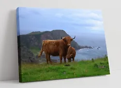 Buy Highland Cows Coastal Landscape Home Decor Canvas Wall Artwork Picture Print • 37.99£
