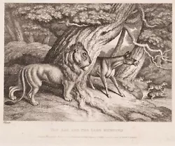 Buy 6 12 Samuel Howitt 1756-1822 Engraving Ass & Lion Hunting Published Orme 1809 • 14.99£