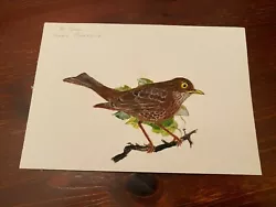 Buy Original Watercolour Painting By T Snelling 2000 Female Blackbird 8.25  X 5.75  • 14.99£